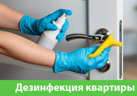 Дезинфекция квартиры в городе Щёлково
