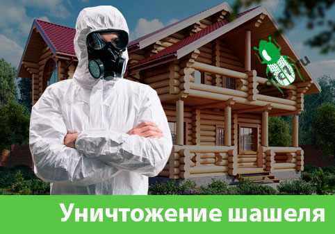 Уничтожение шашеля и личинок в Щёлково