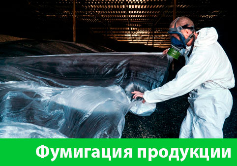Фумигация продукции в городе Щёлково